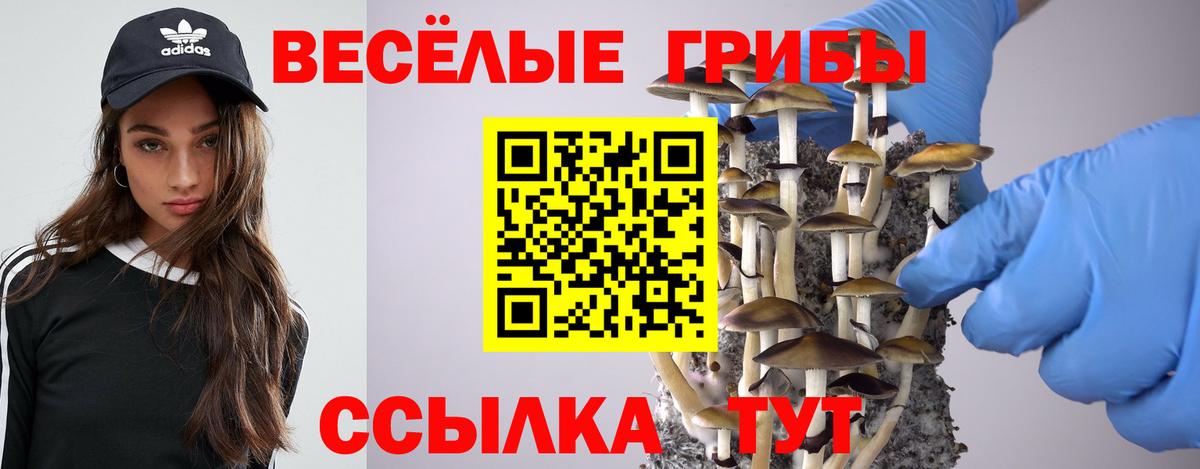 Галлюциногенные грибы Magic Shrooms Воркута